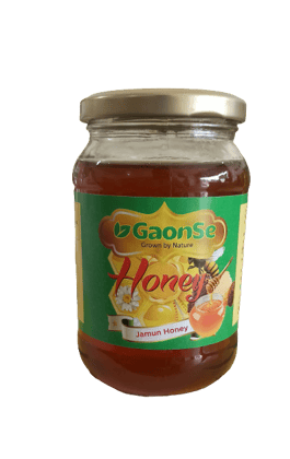 GAONSE RAW JAMUN HONEY