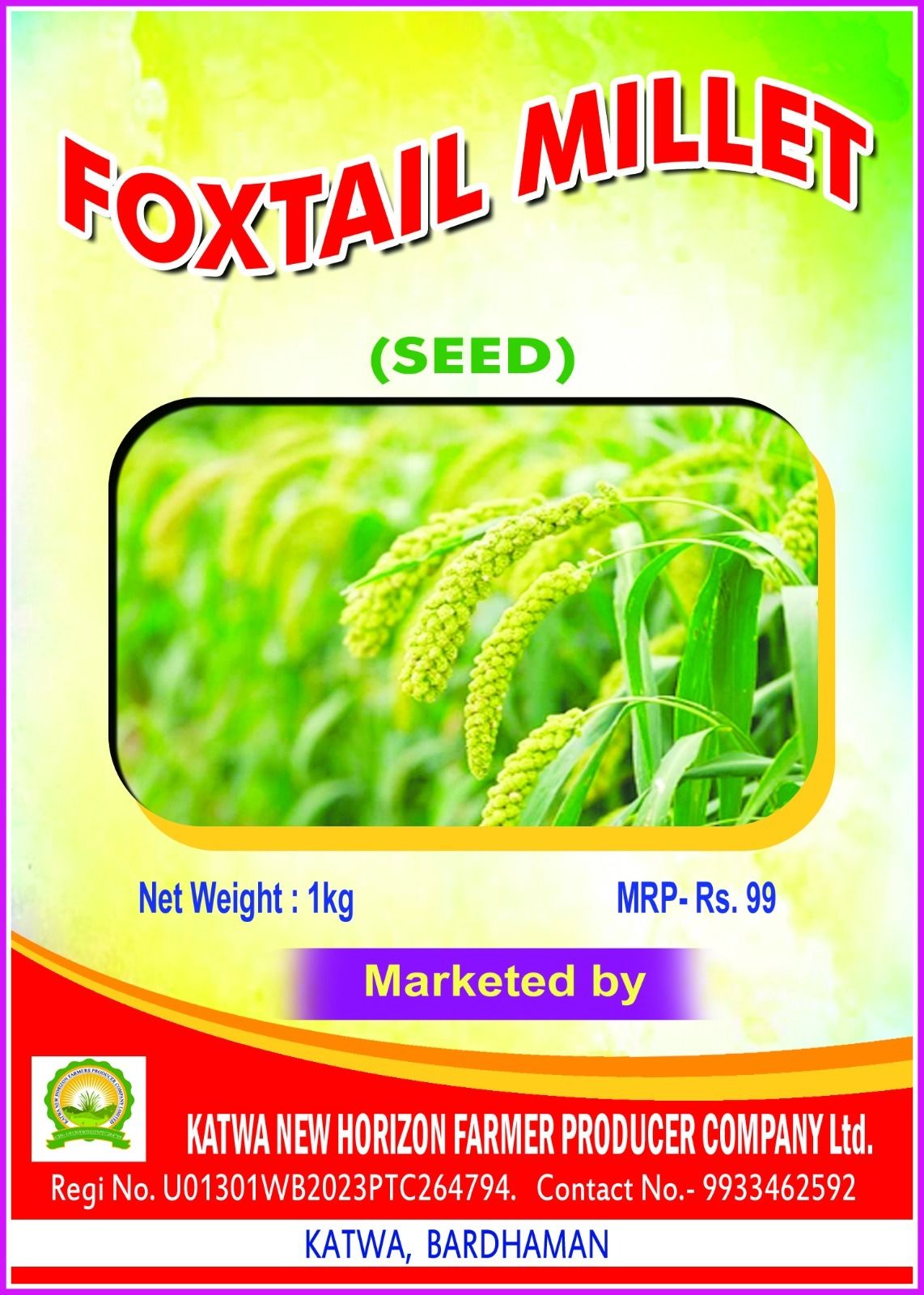 Foxtail Millet Seeds