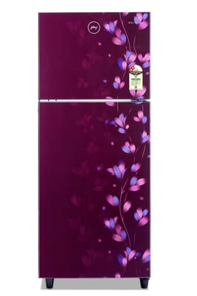 Godrej 234 L 2 Star Inverter, 24 Days Farm Freshness Frost Free Double Door Refrigerator(RT EONALPHA 250B 25 RI JD WN, Jade Wine)