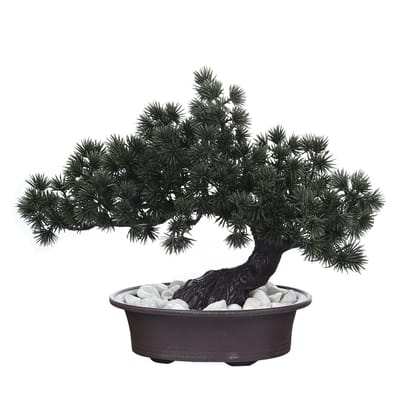 FOLIYAJ Artificial Bent Bonsai Tree with Pine Leaves with Pot|Bonsai Tree|Artificial Flower|with Pot|Home D�cor for Living Room Home Office Shop|House|Gift|Decoration