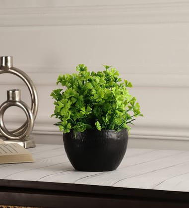 Foliyaj Artificial Green Daisy Plant with Pot |Bonsai Tree|Artificial Flower|with Pot|Home D�cor for Living Room Home Office Shop|House|Gift|Decoration