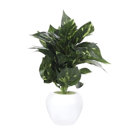 Foliyaj Artificial 45 Leaf Money Plant with Pot|Bonsai Tree|Artificial Flower|with Pot|Home D�cor for Living Room Home Office Shop|House|Gift|Decoration