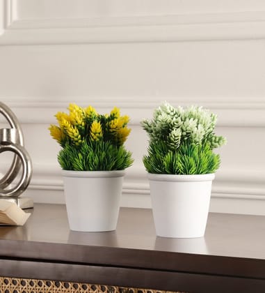 Foliyaj Set of 2 Artificial Real Looking Plants with A Thick Bushy Base and White and Yellow Flowers with pots