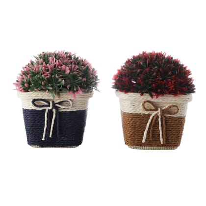 Foliyaj Combo of 2 Artificial Plants with Greenish Red and Pink Leaves with Pots