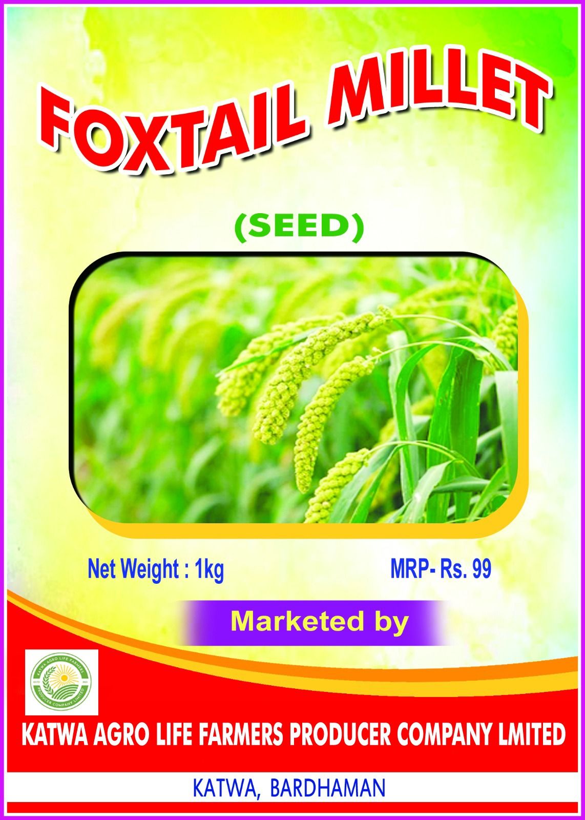 Foxtail Millet Seeds