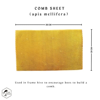 BeeReady Foundation Wax Sheet Beehive Comb Foundation Sheet (Apis Mellifera) 1kg