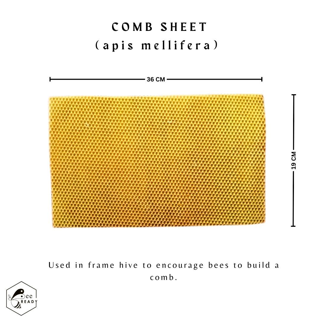 BeeReady Foundation Wax Sheet Beehive Comb Foundation Sheet (Apis Mellifera) 1kg