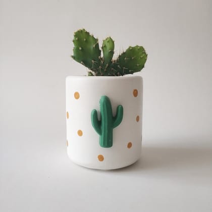 Handmade Concrete Planter Succulent Pots