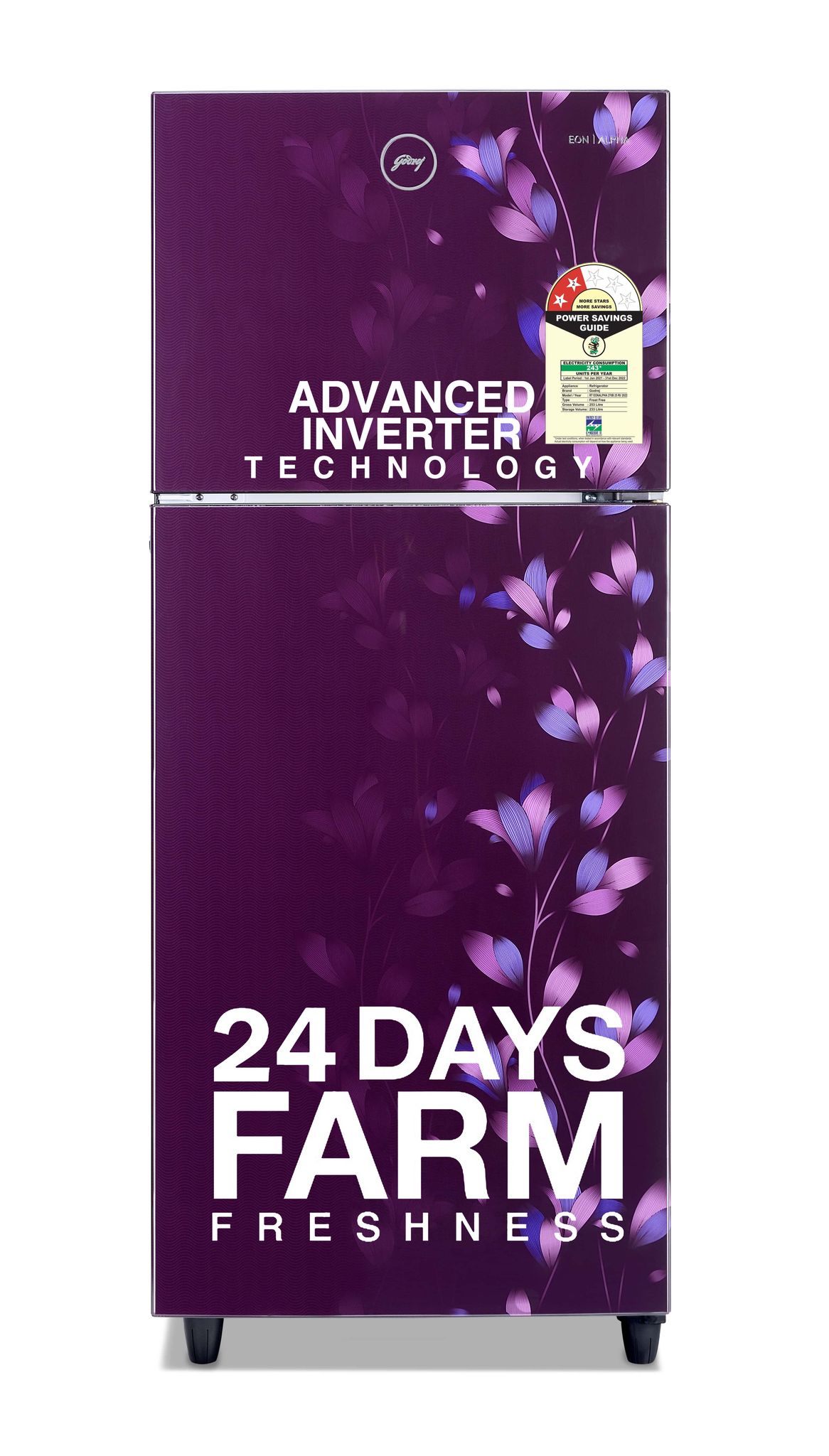 Godrej 234L 2 Star Frost Free Double Door Refrigerator (RT EONALPHA 270B 25 RI JD PR, jade Purple)