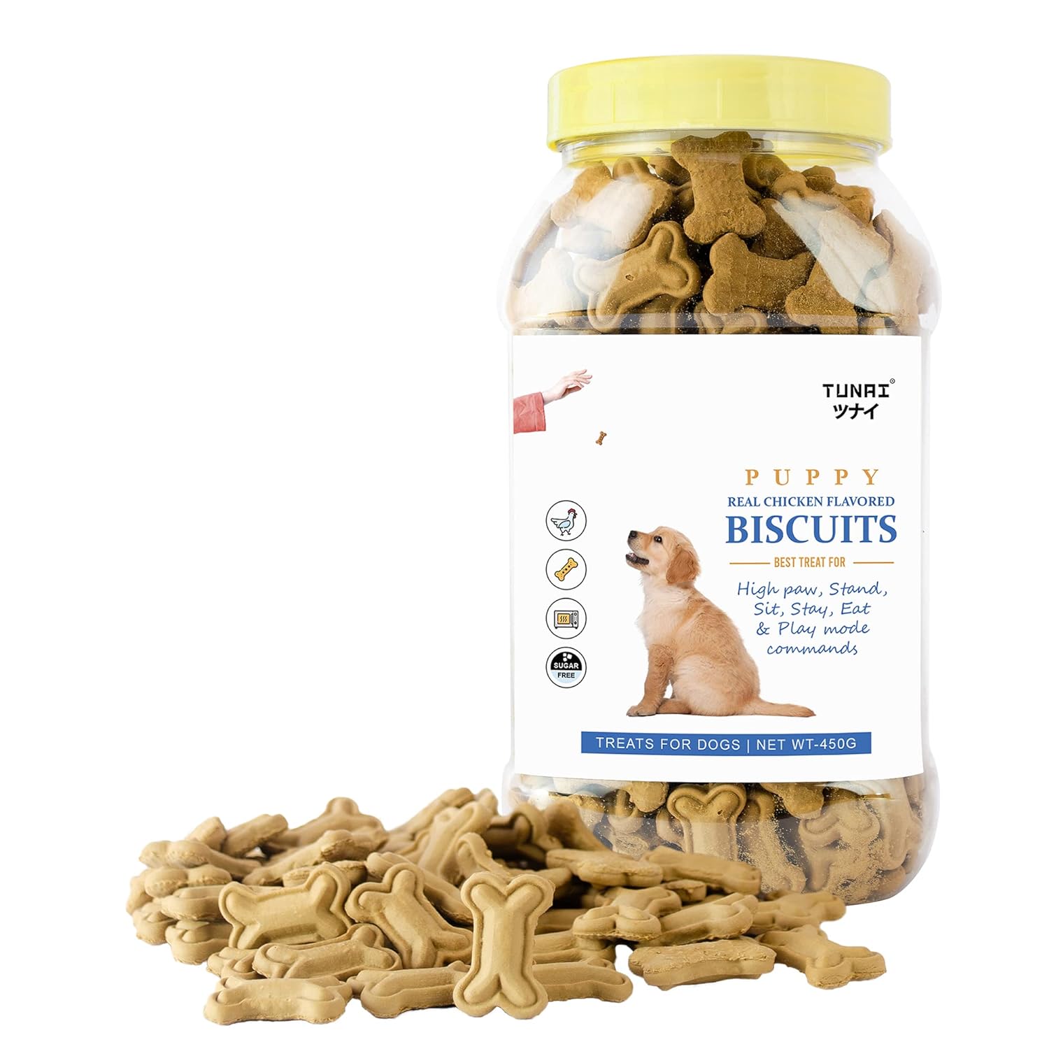 Can puppies best sale eat dog biscuits