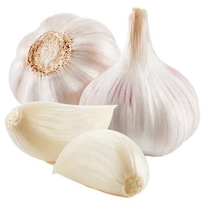 Garlic