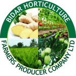 Bidar Horticulture Farmer Producer Company Limited