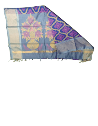 Banarasi Pure Kadhi Silk Multi-coloured Jaal Saree