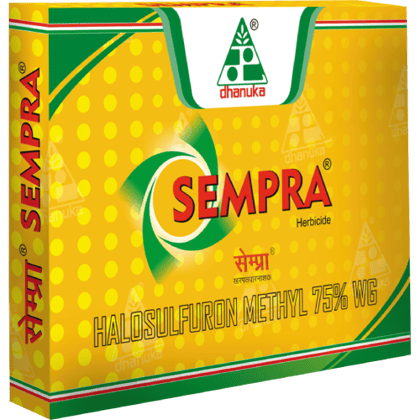 Dhanuka Sempra Herbicide Halosulfuron Methyl 75% WG, Best For Sugarcane And Maize.