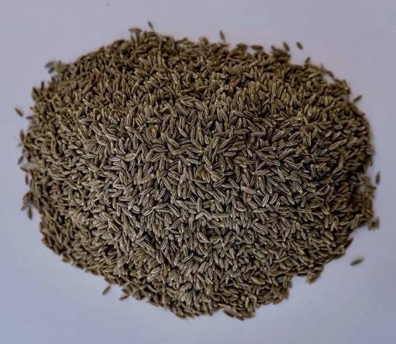 Cumin Seed - Zeera