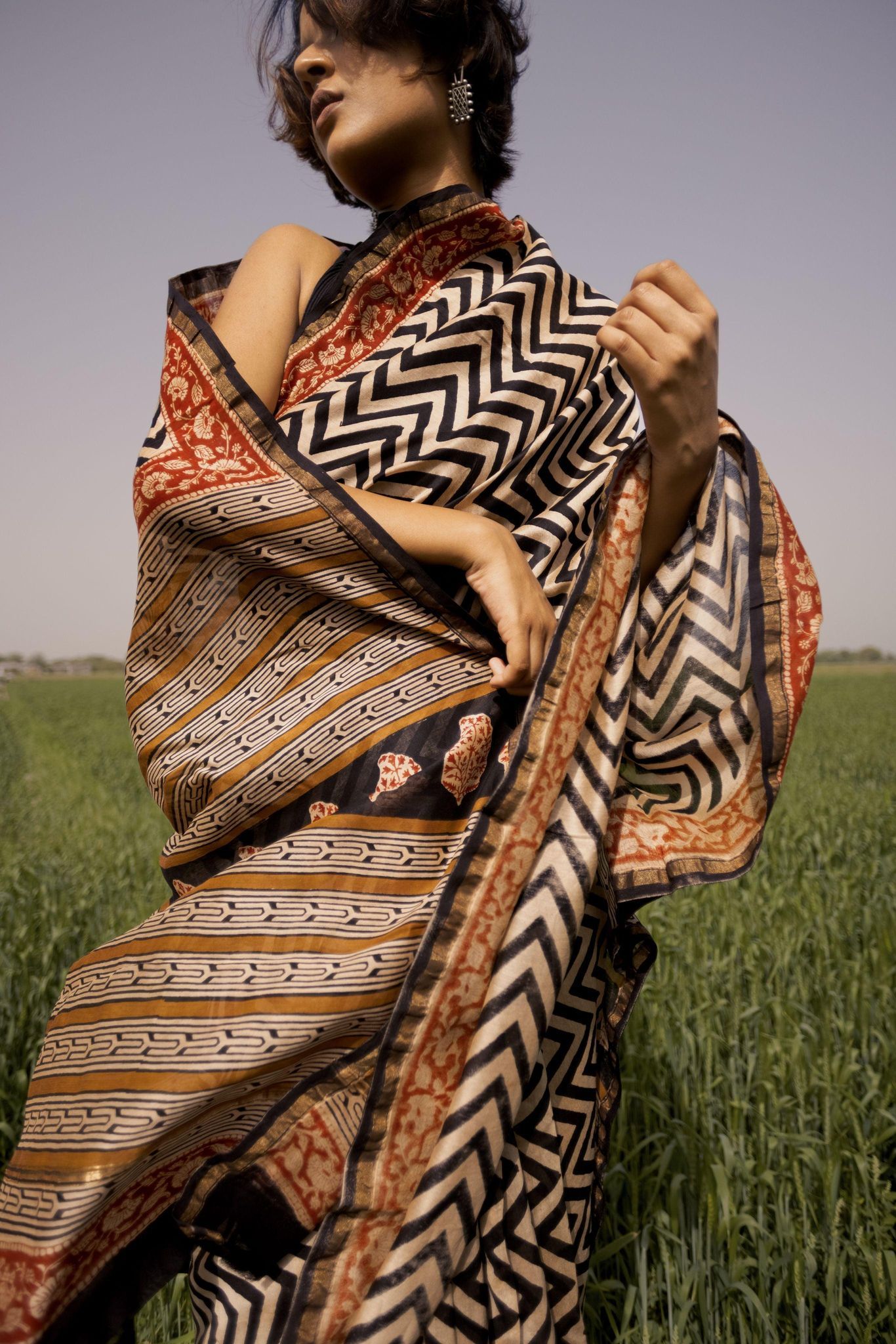 Roheda Chevron Syahi Begar Chanderi Saree