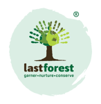 Last Forest