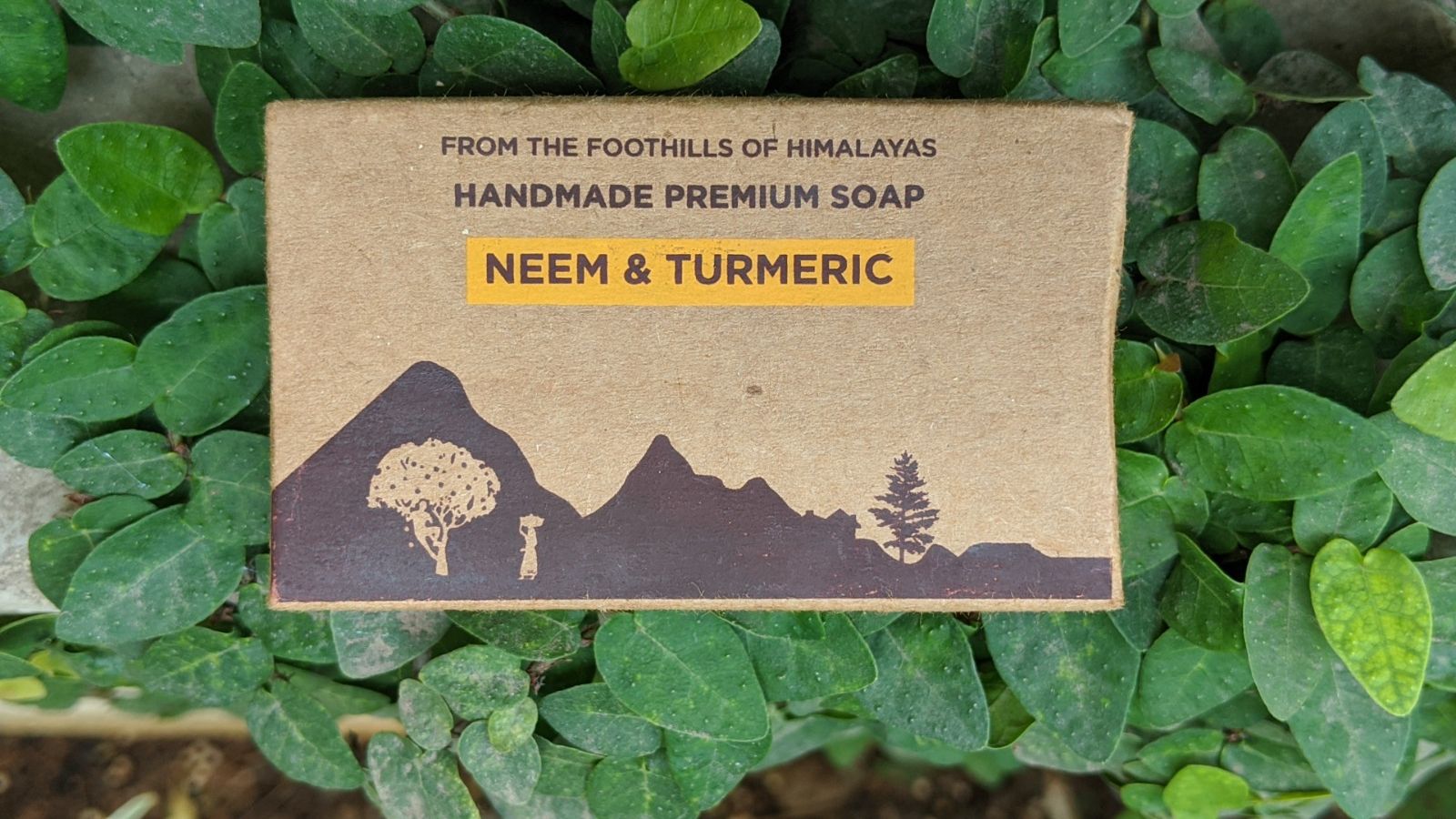 AAROHI's Neem and Turmeric Handmade Soap