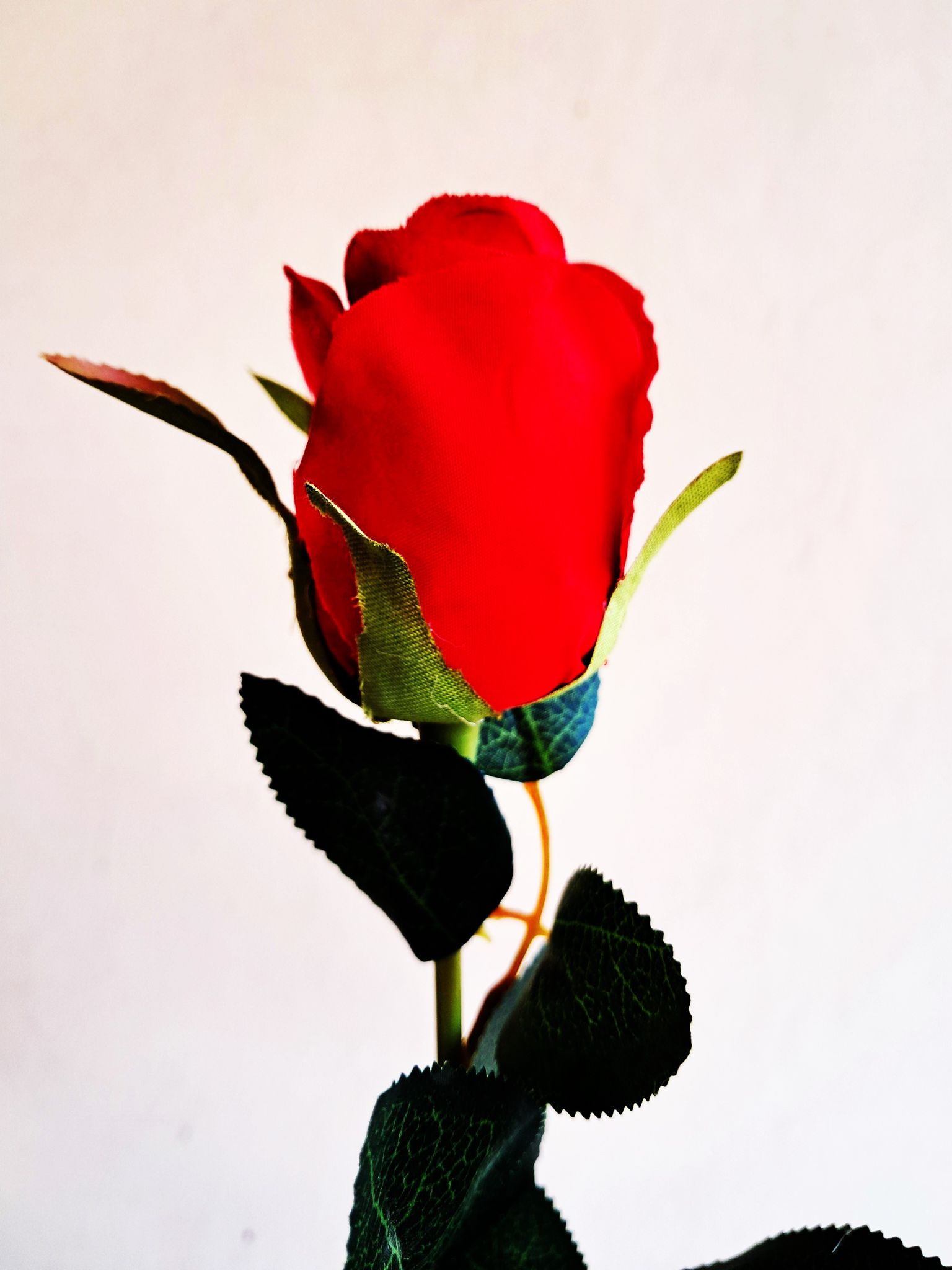 Beautiful Red Rose Artificial Flower with Leaves for Valentine Gift and Decor