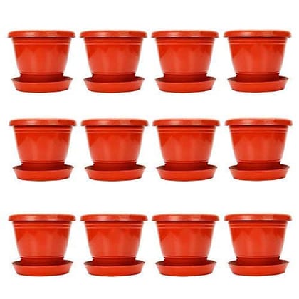 Raabbo Plastic Round 10 inch Flower pots with Tray | for Home, Garden, Balcony | Plant Container Set | Pack of 12