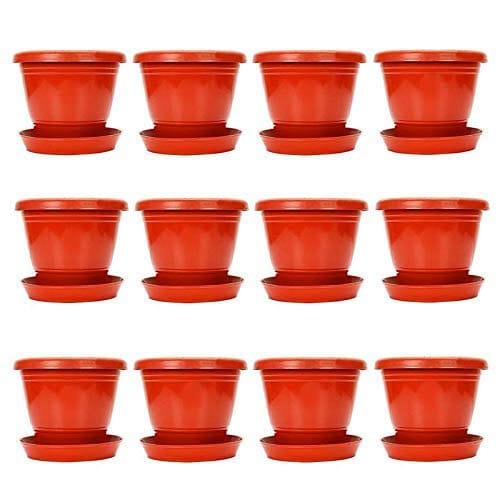 Raabbo Plastic Round 10 inch Flower pots with Tray | for Home, Garden, Balcony | Plant Container Set | Pack of 12