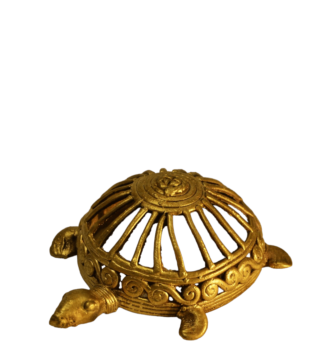 Jharcraft Tortoise (M) DK00691