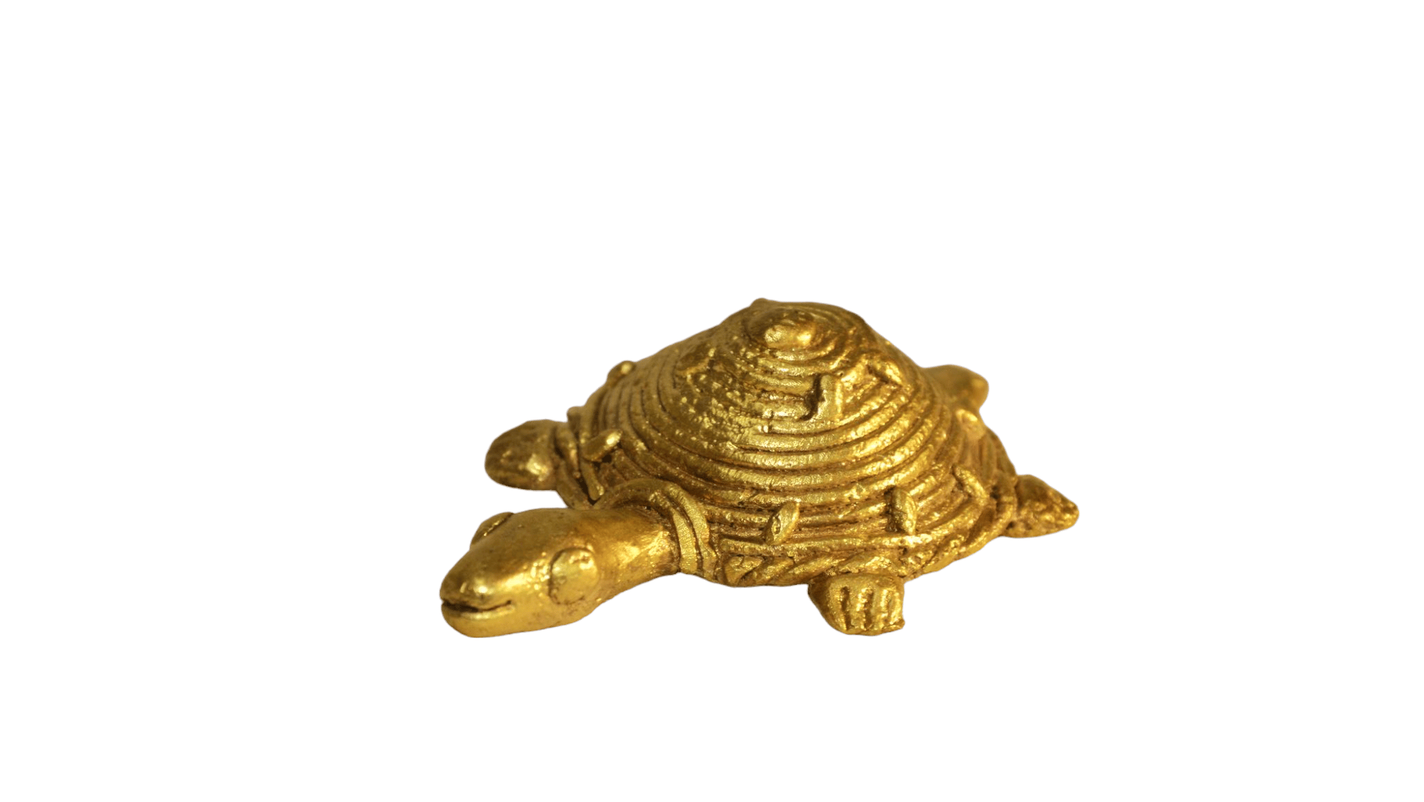 Jharcraft Tortoise (DK00699)