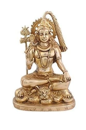 Arihant Craft� Hindu God Shiva Idol Hand Work � 24.5 cm (Brass, Gold)