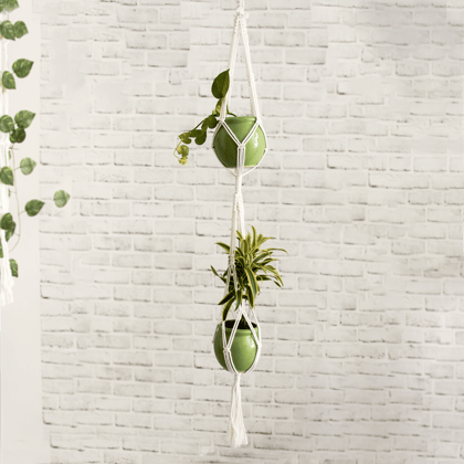 Macramé Dual Plant Hanger