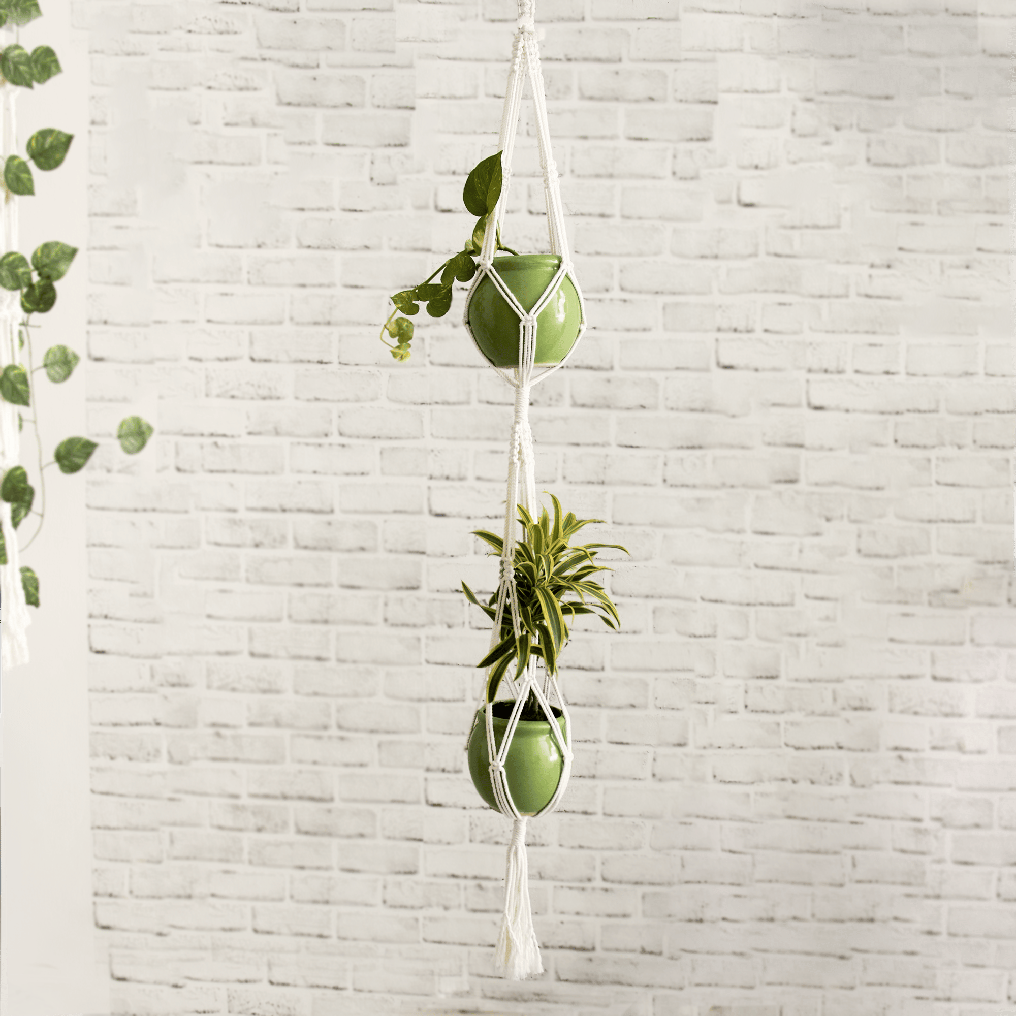 Macramé Dual Plant Hanger