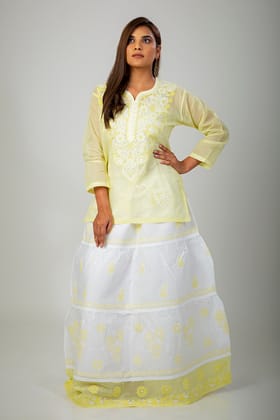 Ladies New Fashion Hand Chikankari Skirt Top