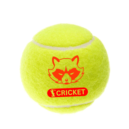 Mapache Cricket and Tennis Ball Kids and Adults Outdoor Cricket Play