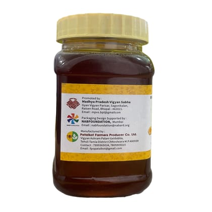 Natural Wild Honey 500gm