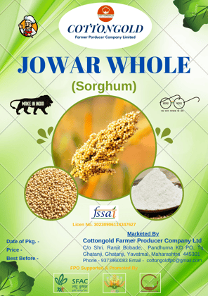 JOWAR WHOLE (Sorghum)