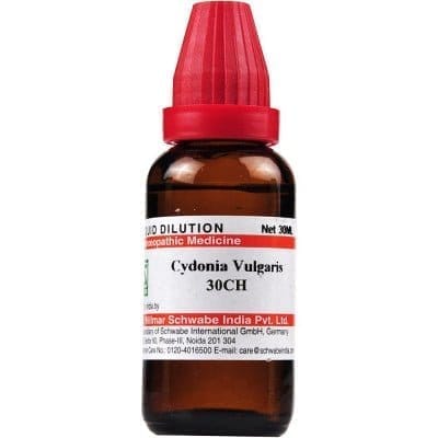 DR. Willmar Schwabe India Cydonia Vulgaris - 30 CH