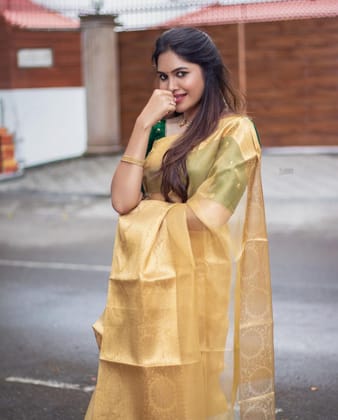 Tissue net Flower Skart Border Gold Saree.