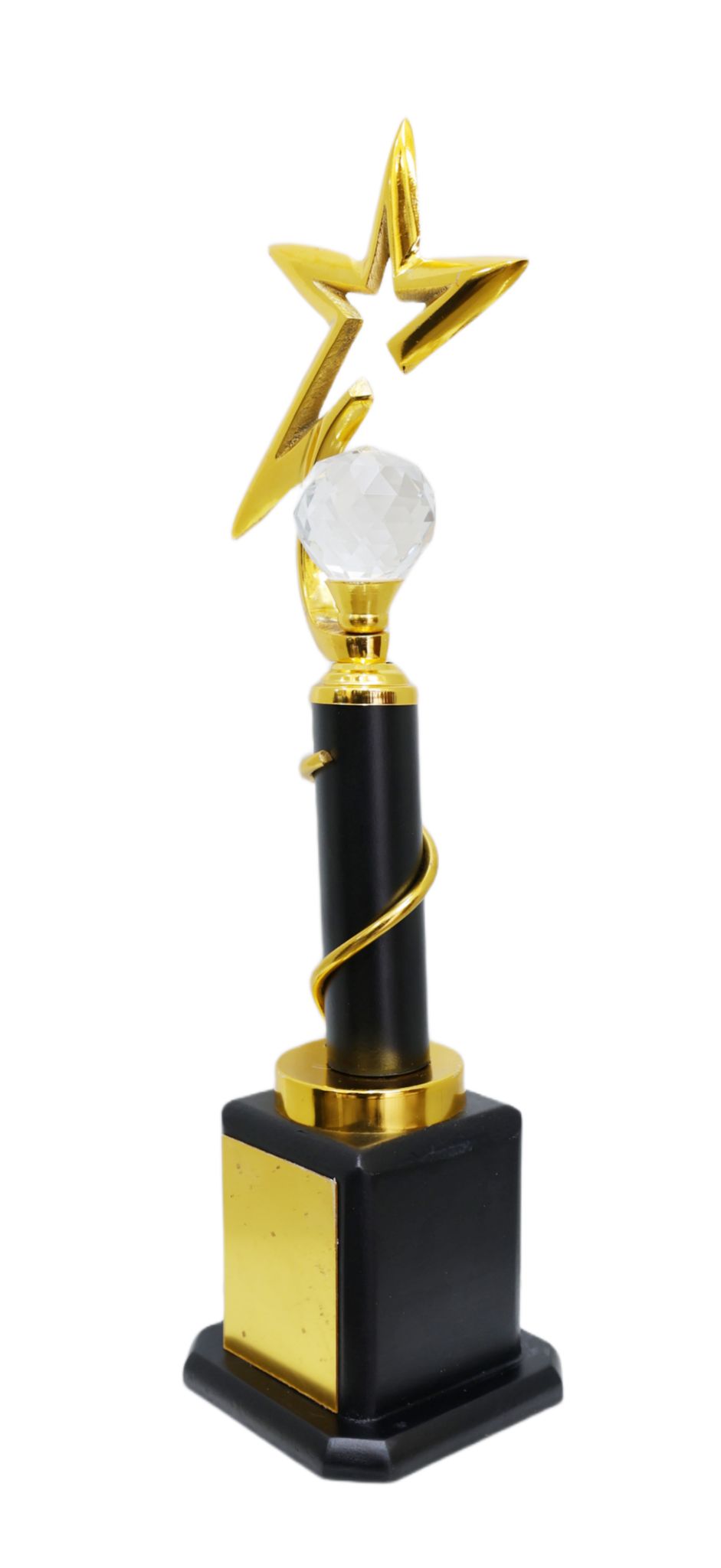 Trophy for Students