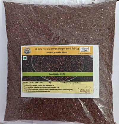 Ragi ( Millets)