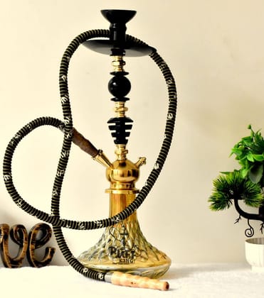 Puff King Hookah Pot Set Stylish Decorative Flavour Sheesha Glass Pot for Home Decor and Refreshment.(5035-RUSSNbase)