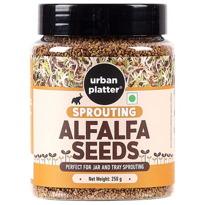 Urban Platter Alfalfa Seeds, 250g