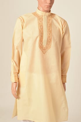 Men's New Beige Colour Cotton Hand Chikankari Kurta