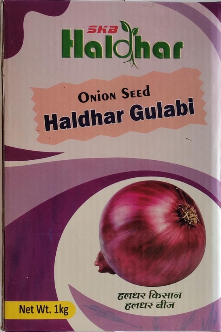 ONION SEED HALDHAR GULABI