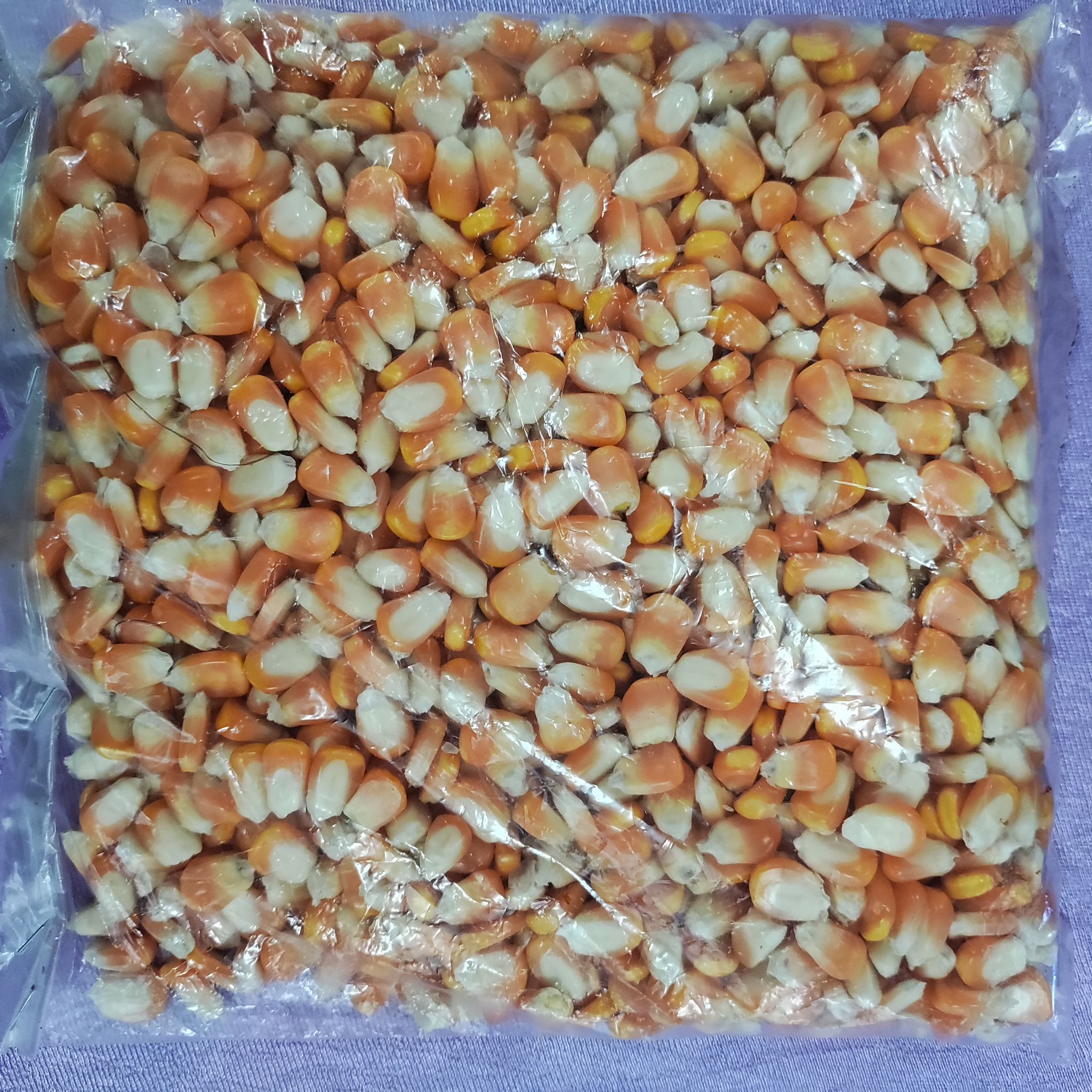 Maize 500gm