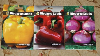 Biocarve Vegetable Kit - 3 Pack (Onion 100 Seeds and Capsicum Orange, Capsicum Red 30 Seeds)