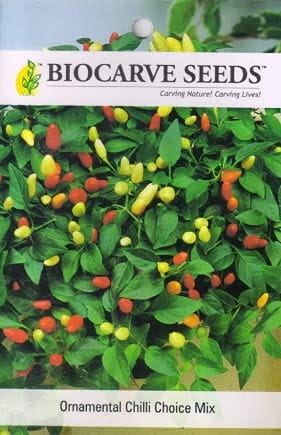 Biocarve Ornamental Chilli - Pack of 50 Seeds