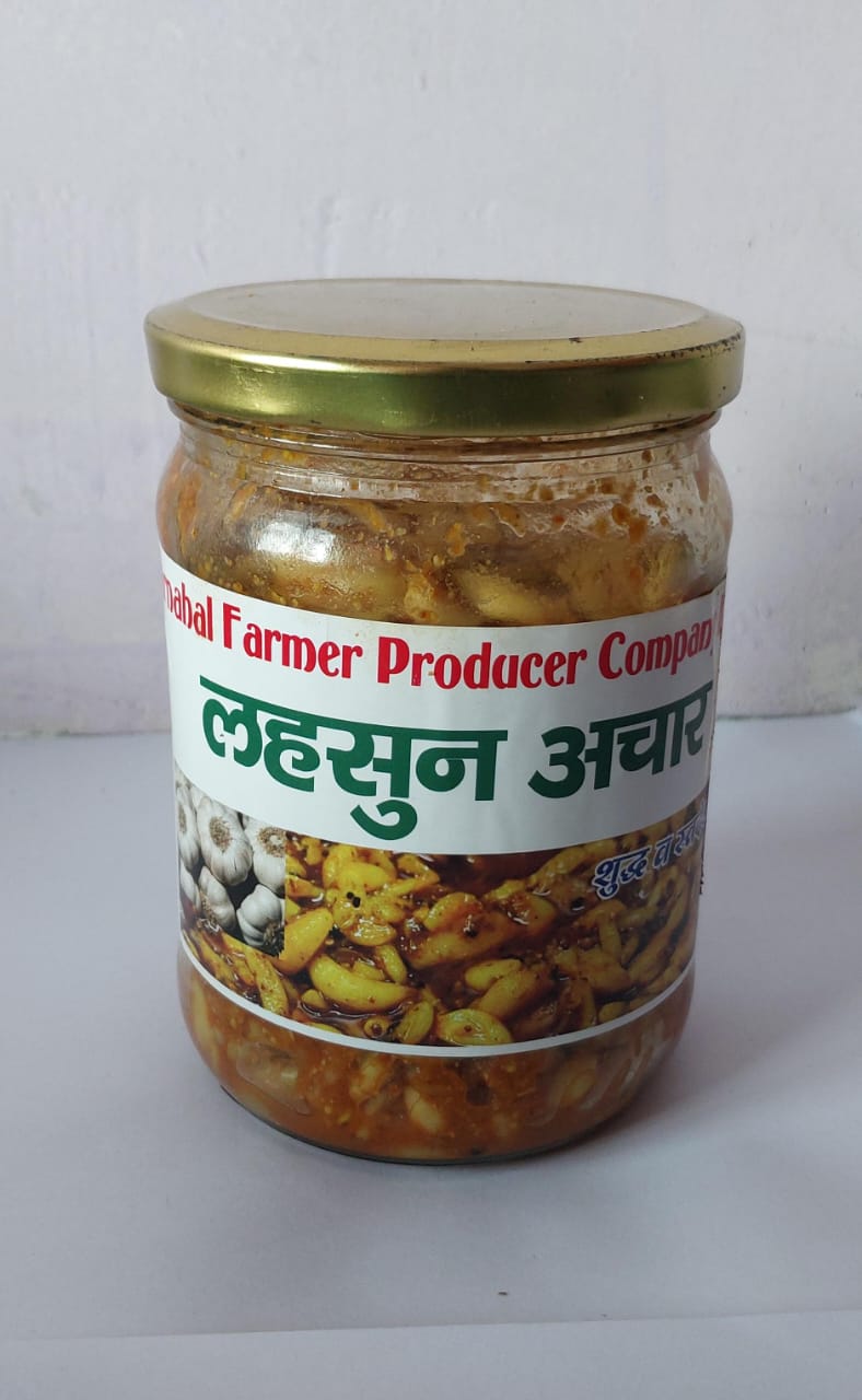 GARLIC PICKLE (500 GM)