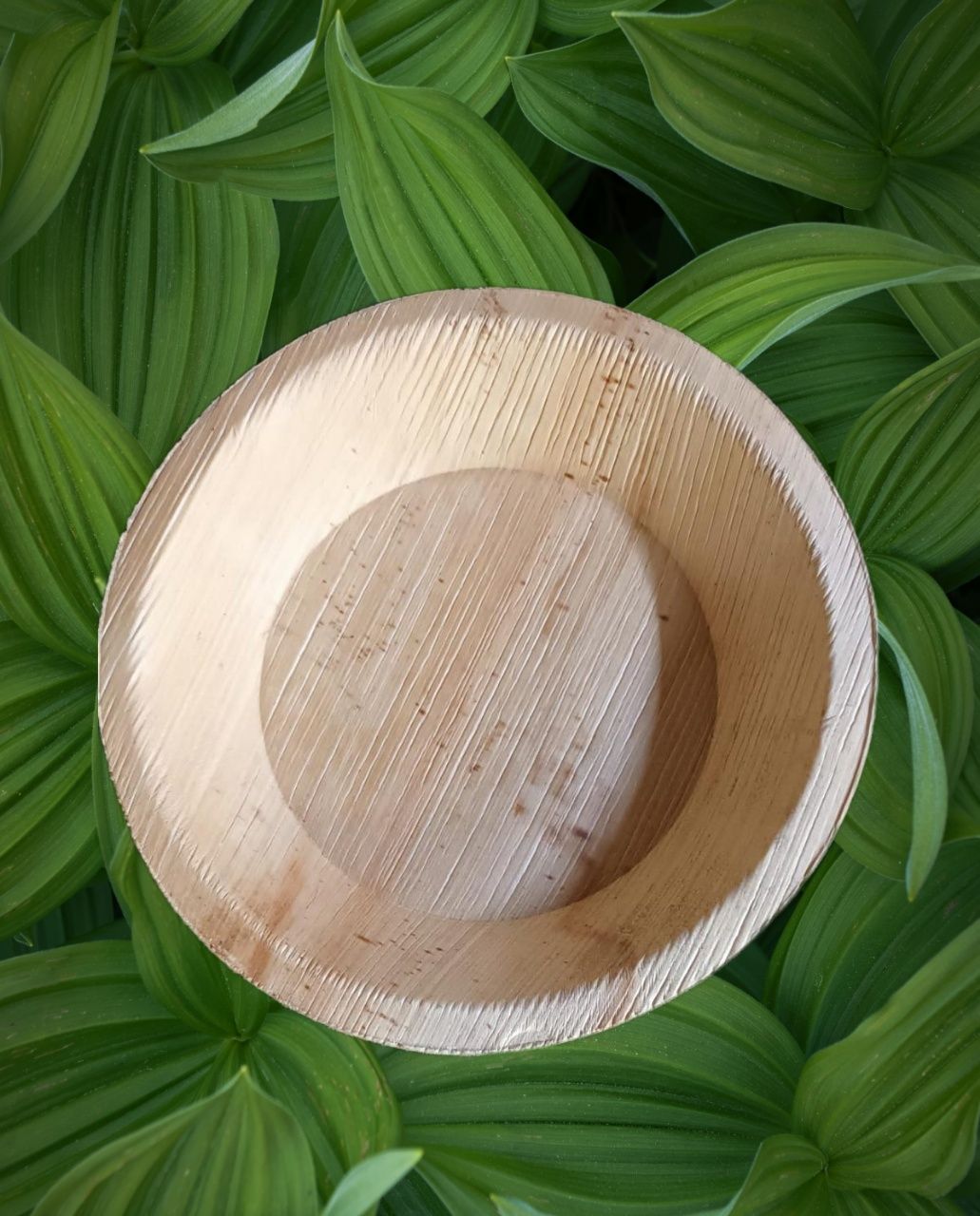 Hridya 6 inch, 100 N-Pack Areca Palm Leaf Round Plates