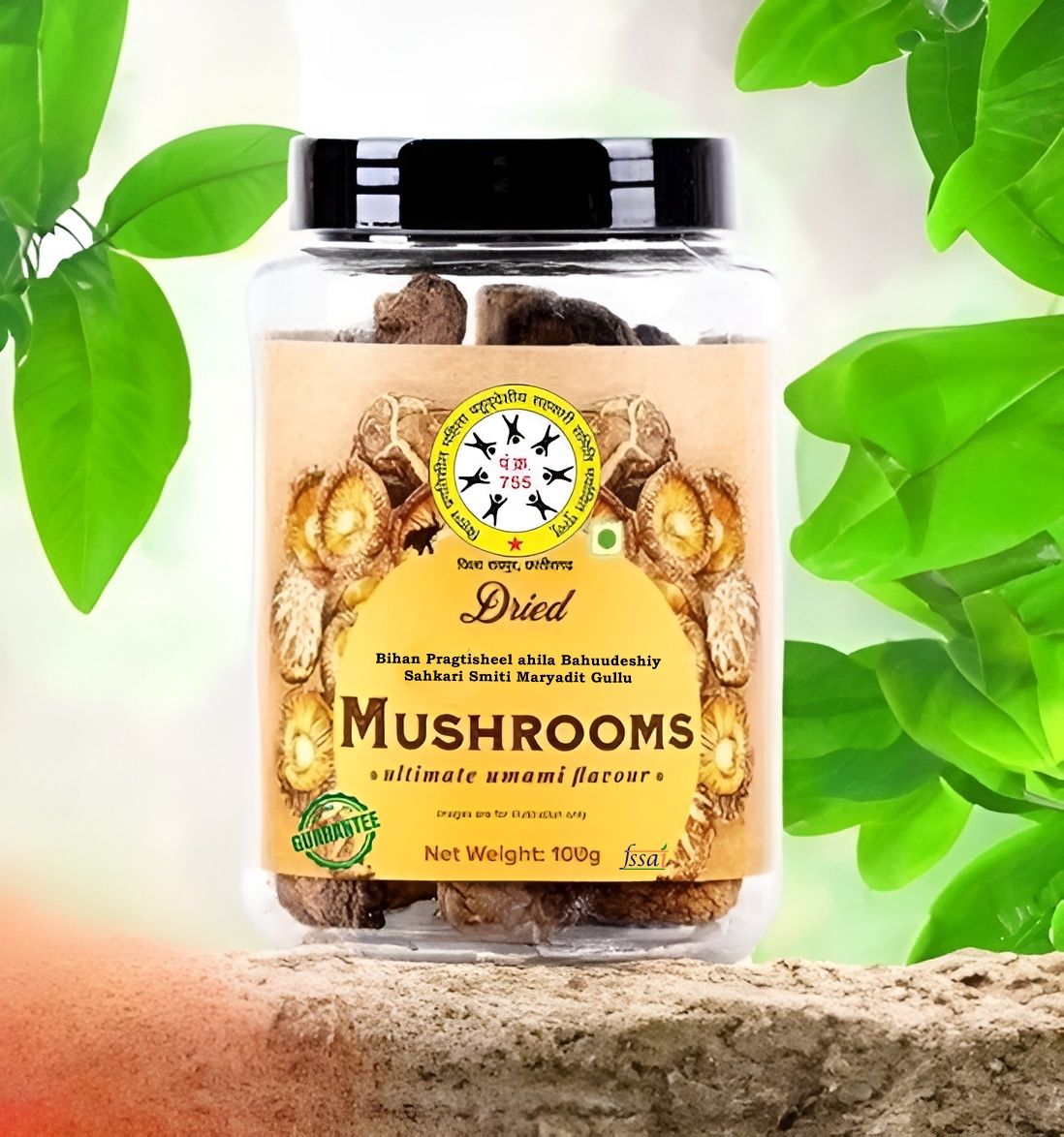 Dried Mushroom 30Gm