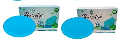 SHIWALYA Natural Cool Mint Soap || Handmade Bathing Soap || Herbal Soft & Radiant Skin || Suitable for All Skin Types (Pack of 2)