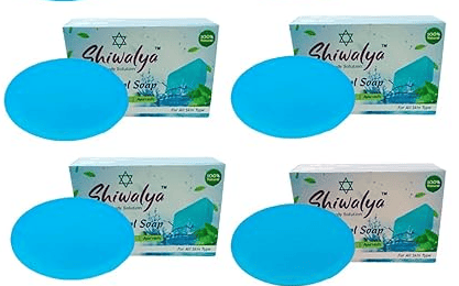 SHIWALYA Natural Cool Mint Soap || Handmade Bathing Soap || Herbal Soft & Radiant Skin || Suitable for All Skin Types (Pack of 4)